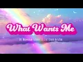 Download Lagu What Wants Me - (official lyric video) Moonlight Scorpio \u0026 S.I.A.T Stuck in a Tree