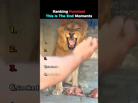 Ranking Funniest This Is The End Moments