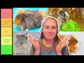 Ranking Guinea Pig Breeds Tier List