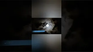 Shorts اه اوفي بوعدك أغنية من قال عنك بدر أديب الدايخ 