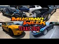 Mustang Week Galveston Texas 2025 had tons of SICK mustangs at the Night Meet and Car Show