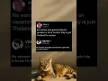 Download Lagu Wat denk jij?