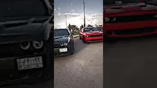 ملوك الساحه  العراق  قناتي  لايك  اشتراك دندنها