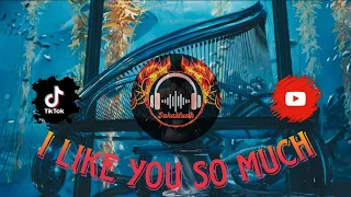 Download Dj I Like You So Much MP3