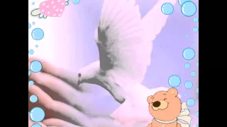 عفاف الصاوى 