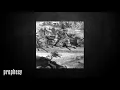Falkenbach - … Into the Ardent Awaited Land …