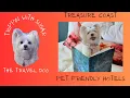 Best Pet Friendly Hotels - Port St Lucie Stuart Florida 2023