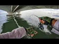 Download Lagu Mancing Santai di TIANG JAMBATAN KEDUA Pulau Pinang!!