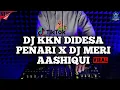 Download Lagu DJ KKN DI DESA PENARI X DJ MERI AASHIQUI REMIX VIRAL TIKTOK TERBARU 2022