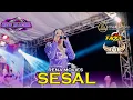 Lagu RENA MOVIES - SESAL (NEW ALLENA) | DHEHAN PRO AUDIO.
