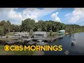 Recent alligator and crocodile attacks in Florida Mexico raise safety concerns