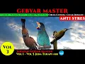 Download Lagu CILILIN | TENGKEK BUTO | KOLIBRI PIJANTUNG | Tahapan Gebyar MASTER Vol. 3  Agar tidak stres.