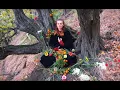 Download Lagu Živa - Nebe