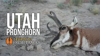 A Lifetime in the Making Hunting a COVETED Pronghorn Tag in UTAH