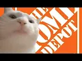 Cat Vibing to Home Depot Theme Song for 12 Hours