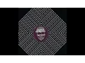 Download Lagu DJ Skull - Fly