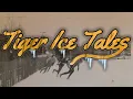 Ep 2 Take Nothing For Granted Tiger Ice Tales