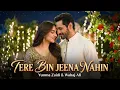 Lagu Yumna Zaidi \u0026 Wahaj Ali -Tere Bin Jeena Nahin (Official Video) | Meerab \u0026 Murtasim Chemistry Is Back