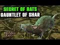 Secret of the Rats in Gauntlet of Shar Hidden Quest Baldur s Gate 3 - Defeat Rats Lyrthindor