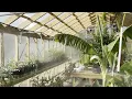Inside Our 40 000 Greenhouse A Guided Tour
