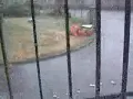 "The Ice Storm"