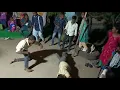Download Lagu Dawat function nice#jitana  video lovely video comedy#jitana 🙌🙌😇😇🙏🙏🙏#