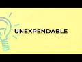 Download Lagu What is the meaning of the word UNEXPENDABLE?