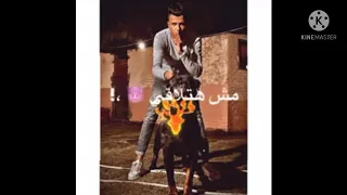 هوهو الكلاب كتير عصام صاصا كروان 2021 