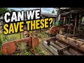 We Found a Graveyard of Woodmizer LT40 Sawmills Then This Happened