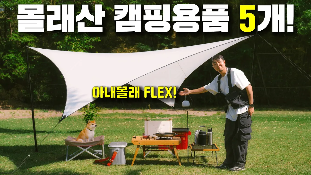 아내몰래 FLEX! 새로 산 갓성비 캠핑용품 5가지 소개합니다! 썸네일