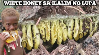 MGA PUTING HONEY BEE SA ILALIM NG LUPA HINUKAY NG MGA KATUTUBO