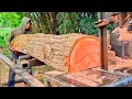 Download Lagu KAYU TUA BERUMUR !! Penggergajian kayu merah mahoni - mesin Bandsaw rakitan