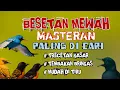 Lagu 2 jam masteran besetan MEWAH paling di cari trecetan kasar tembakan bringas komplit mudah di tiru