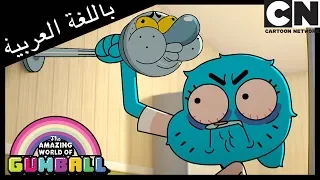 غامبول عرض غنائي كرتون نتورك  غامبول عرض غنائي كرتون نتورك