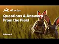 From the Field Directus Show and Tell - Grap L Nested Queries MACH Compliance APIs