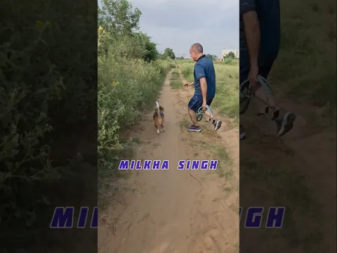 A day out with Romeo part 2