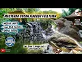 Download Lagu MASTERAN CUCAK JENGGOT FULL ISIAN MESIN JAHIT Love Bird NgeTriLL sambung Gereja
