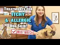 Treat Itchy and Allergic Dog Skin MUST WATCH