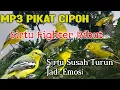 Download Lagu MP3 PIKAT SIRTU/CIPOH YANG SUSAH TURUN JADI EMOSI FIGHTER