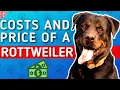 How Much Does A Rottweiler Cost How Much Does A Rottweiler Cost Per Month