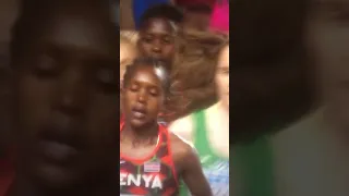 Sifan Hassan Vs Diribe Welteji For The Silver 1500m Women S Final Shorts 