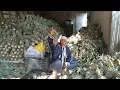 Download Lagu PINGGIR JALAN PASAR BUAH PASREPAN DI BANJIRI BUAH NANAS SEMANGKA MELON DAN BLEWAH D BULAN MAULID INI