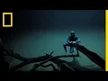 Download Lagu Experience the Underwater World Through the Eyes of a Free Diver | Short Film Showcase