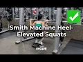Smith Machine Heel-Elevated Quad-Focused Squats Tutorial Tips Team Evolve