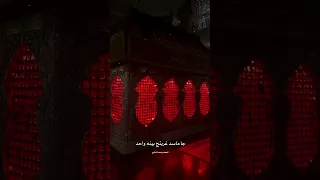 استشهاد السيدة زينب    ضيم الشام مسلم الوائلي دندنها