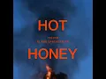 Hot Honey | Tiësto & Alana Springsteen