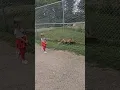 Toddler walking a fox?! It's Finnegan fox!
