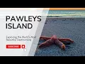 Pawleys Island Ultimate Travel Guide
