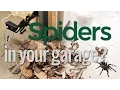 How to Keep Spiders out of Your Garage