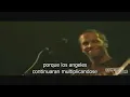 Jack Johnson - Angel / Better Together Español